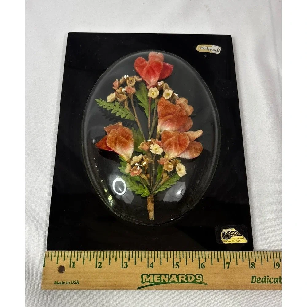 Bubble Convex‎ Frame Vintage Preserved Dried Flowers Arrangement